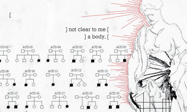 Sketch of Hermaphroditus lifting her skirt,
in a collage of genetic diagrams and wings,
with red arrows
and text that says "not clear to me, a body"