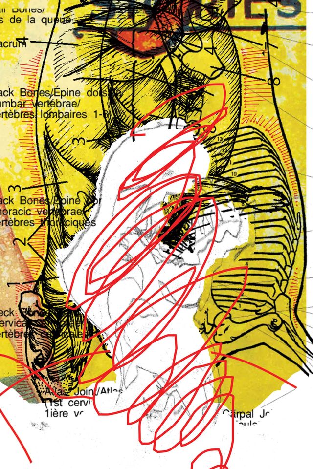 The same alien silhouette now scribbled out and imposed on overlapping animal carcass diagrams